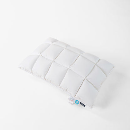 PLUMENEST HEAVENLY DREAMS GOOSE DOWN PILLOW