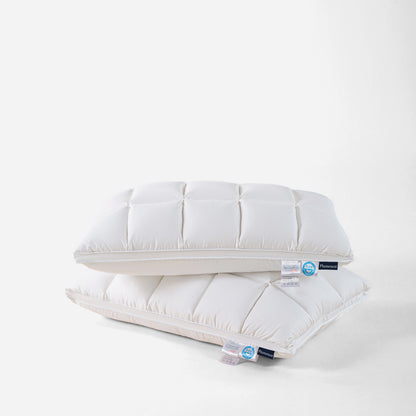 PLUMENEST HEAVENLY DREAMS GOOSE DOWN PILLOW